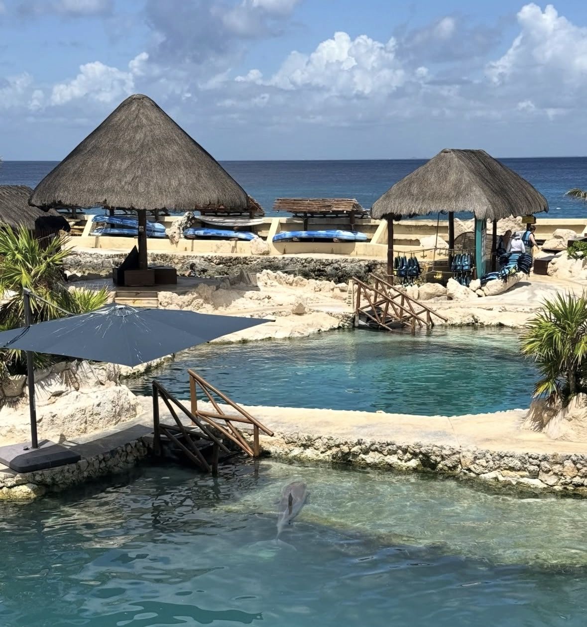 Explore Cozumel on a Buggy: Tour Around the Island!