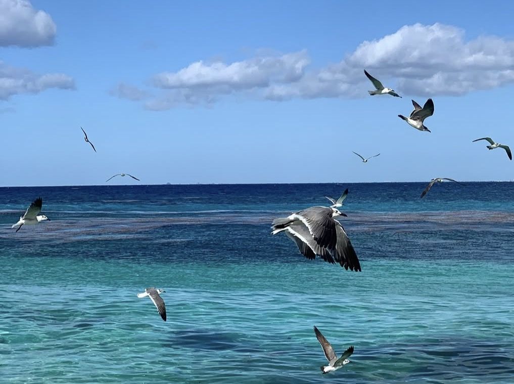 Private Jeep Tour in Cozumel
